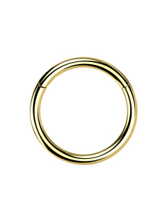 1,2mm Titan Piercing Ring Segmentring Clicker  1,2mm Titan Piercing Ring Segmentring Clicker