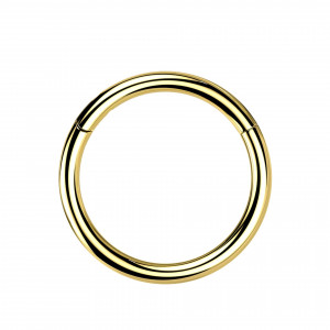 1,2mm Titan Piercing Ring Segmentring Clicker  1,2mm Titan Piercing Ring Segmentring Clicker