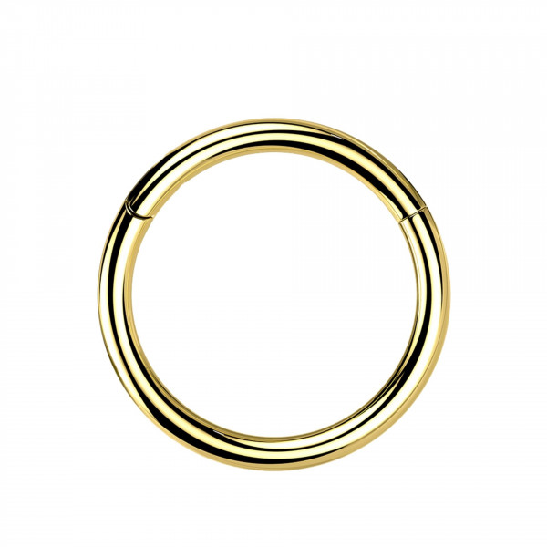 1,2mm Titan Piercing Ring Segmentring Clicker