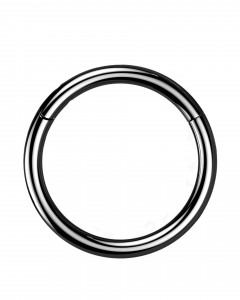 1,2mm Titan Piercing Ring Segmentring Clicker 