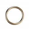 1,2mm Titan Piercing Ring Segmentring Clicker
