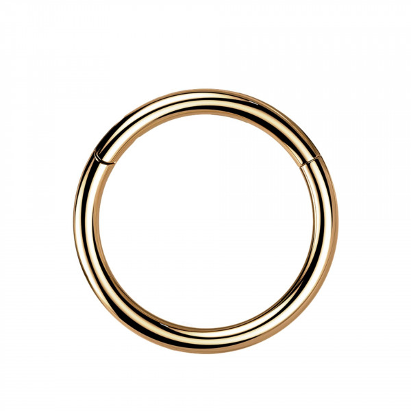 1,2mm Titan Piercing Ring Segmentring Clicker