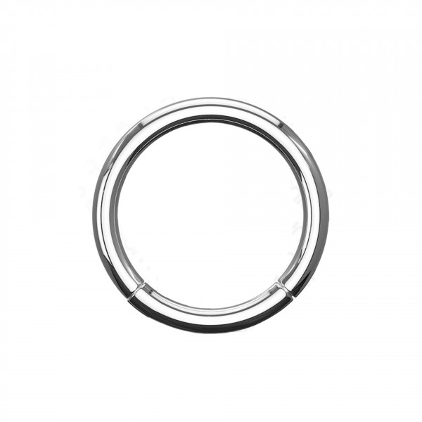 1,2mm Titan Piercing Ring Segmentring Clicker