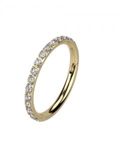 10mm 316L Ohr Piercing Ring Steinbesetzter Segmentring Clicker  10mm 316L Ohr Piercing Ring Steinbesetzter Segmentring Clicker