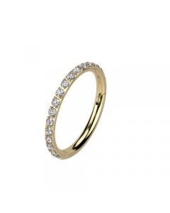 8mm 316L Ohr Piercing Ring Steinbesetzter Segmentring Clicker  8mm 316L Ohr Piercing Ring Steinbesetzter Segmentring Clicker