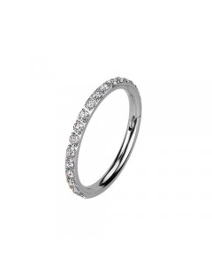 8mm 316L Ohr Piercing Ring Steinbesetzter Segmentring Clicker  8mm 316L Ohr Piercing Ring Steinbesetzter Segmentring Clicker