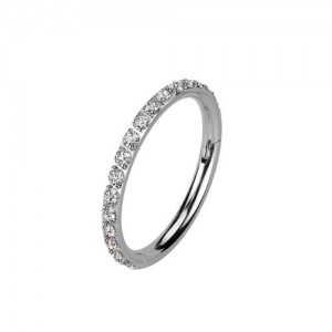 8mm 316L Ohr Piercing Ring Steinbesetzter Segmentring Clicker  8mm 316L Ohr Piercing Ring Steinbesetzter Segmentring Clicker