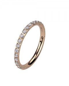 10mm 316L Ohr Piercing Ring Steinbesetzter Segmentring Clicker  10mm 316L Ohr Piercing Ring Steinbesetzter Segmentring Clicker