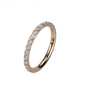 10mm 316L Ohr Piercing Ring Steinbesetzter Segmentring Clicker  10mm 316L Ohr Piercing Ring Steinbesetzter Segmentring Clicker