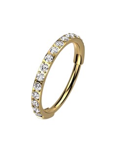 0,8mm Titan Steinbesetzter Nasenpiercing Clicker