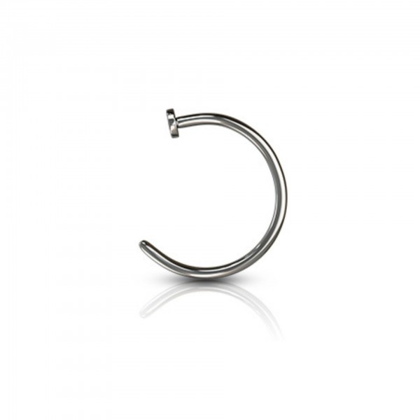 Titan Nasenpiercing Ring