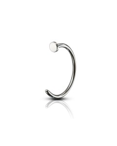 Titan Nasenpiercing Ring