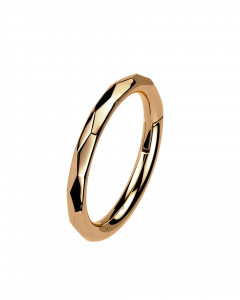 Titan Segmentring Clicker mit Facetten  