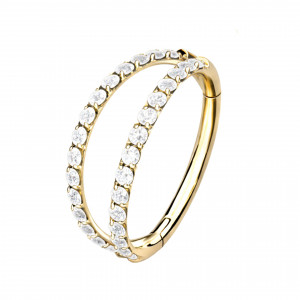1,2mm Titan Double Hoop Steinbesetzter Segmentring Clicker 