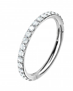 10mm Titan Steinbesetzter Segmentring Clicker