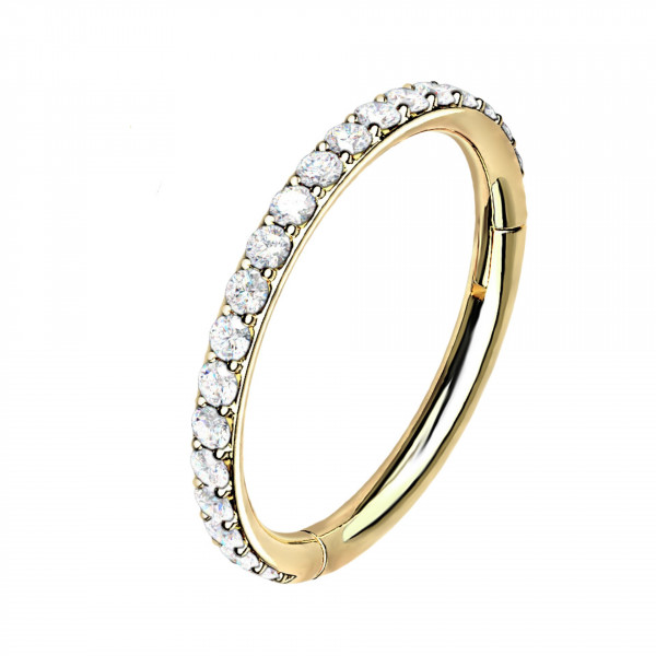 12mm Titan Ohr Piercing Ring Steinbesetzter Segmentring Clicker