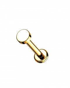 Titan Labret Piercing Stecker mit Disc Aufsatz Titan Labret Piercing Stecker mit Disc Aufsatz
