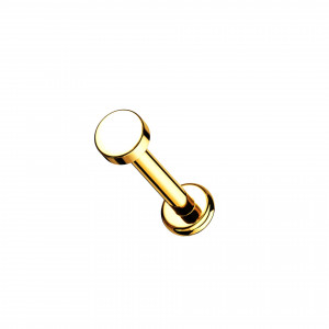 Titan Labret Piercing Stecker mit Disc Aufsatz Titan Labret Piercing Stecker mit Disc Aufsatz