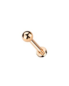 Titan Labret Ohr Piercing Stecker  Titan Labret Ohr Piercing Stecker