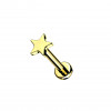 Titan Ohr Piercing Stecker mit Stern Aufsatz