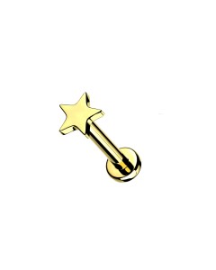 Titan Ohr Piercing Stecker mit Stern Aufsatz  Titan Ohr Piercing Stecker mit Stern Aufsatz