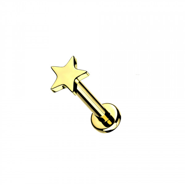 Titan Ohr Piercing Stecker mit Stern Aufsatz