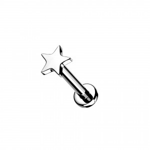 Titan Ohr Piercing Stecker mit Stern Aufsatz  Titan Ohr Piercing Stecker mit Stern Aufsatz