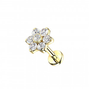 Titan Crystal Flower Ohr Piercing Stecker
